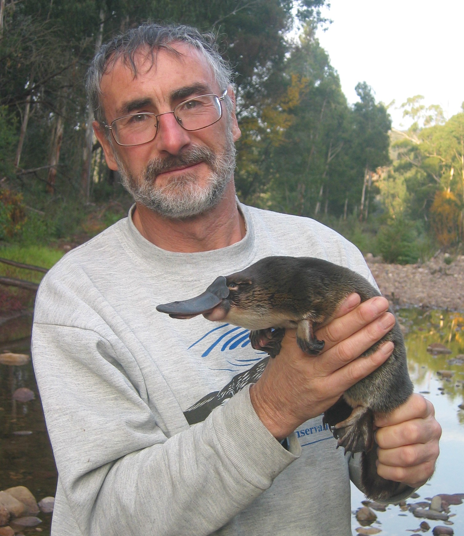 platypus-and-rakali-talk-nsw-landcare-gateway